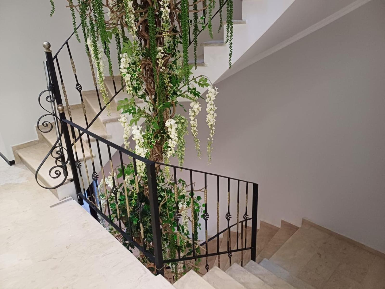 Oxygen Boutique Hotel Tirana Eksteriør billede